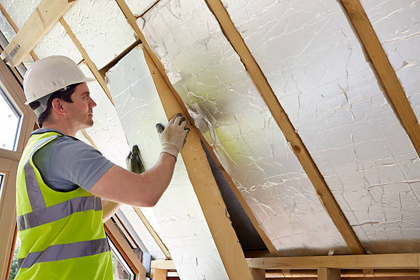 Best Insulation Maintenance and Repair in Moenkopi, AZ